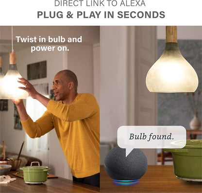 Smart LED 800 Lumens Light Bulb