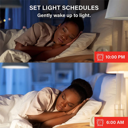 Smart LED 800 Lumens Light Bulb